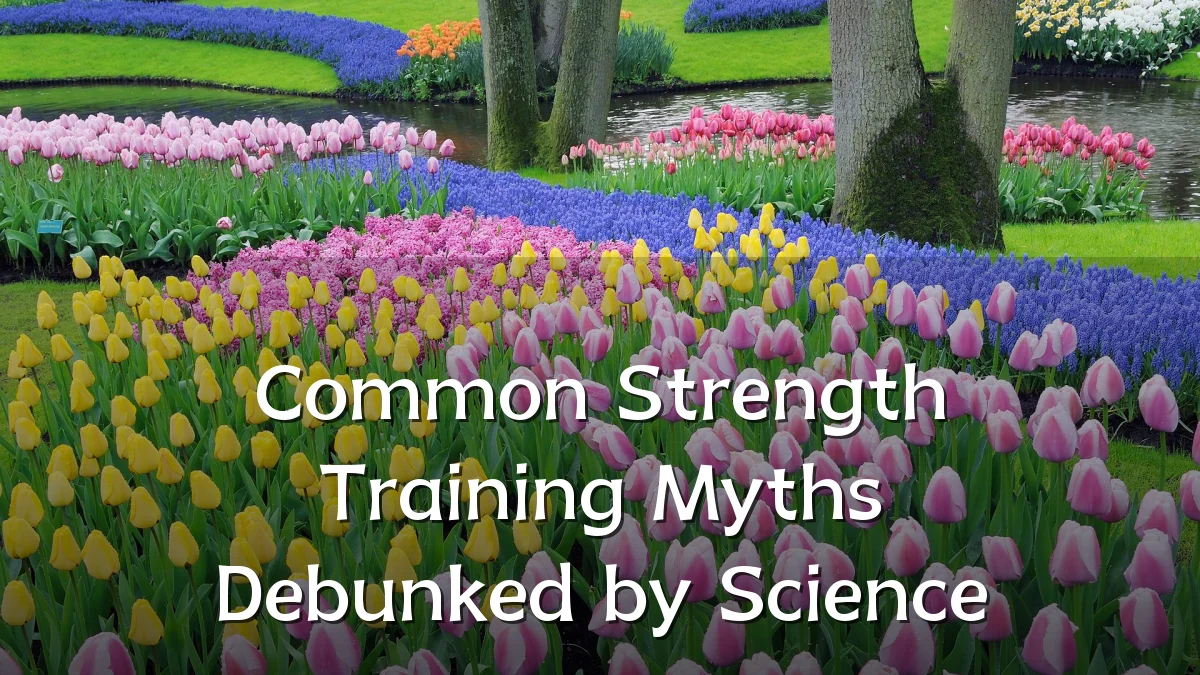 Common Strength Training Myths Debunked by Science