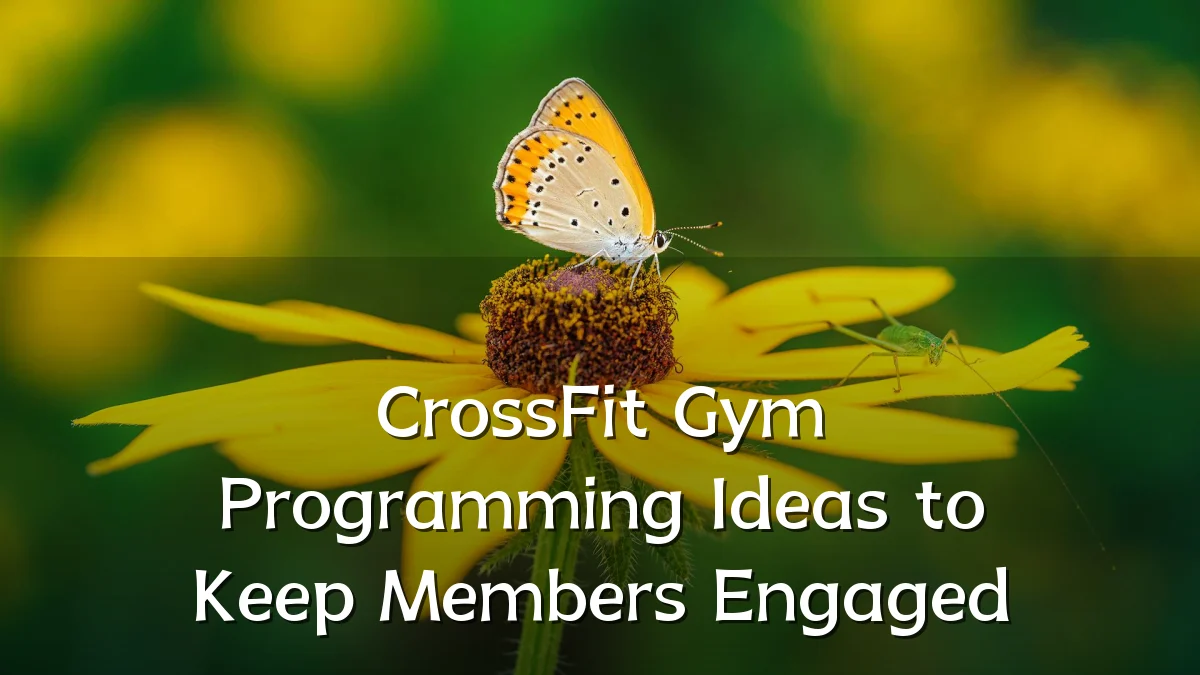 CrossFit Gym Programming Ideas to Keep Members Engaged