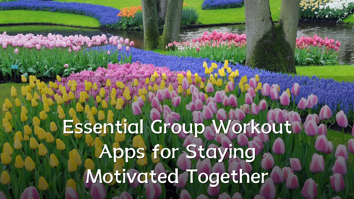Essential Group Workout Apps for Staying Motivated Together