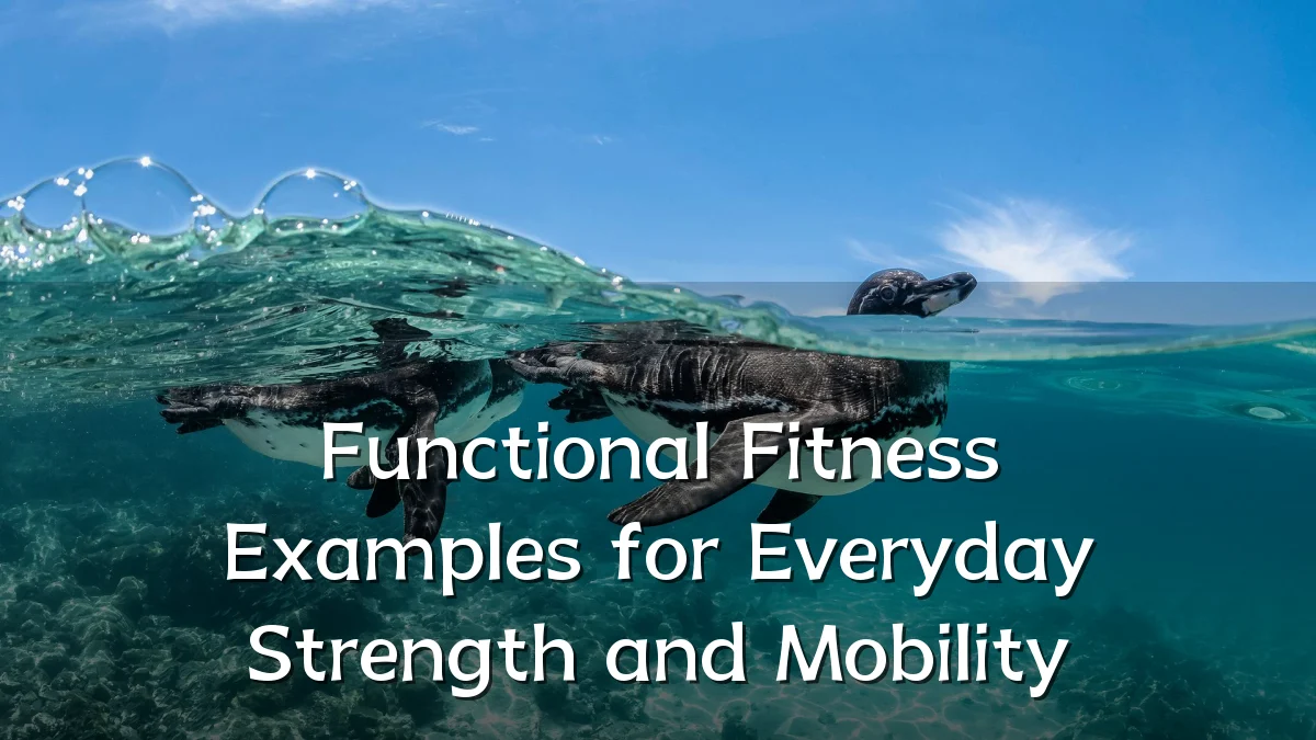 Functional Fitness Examples for Everyday Strength and Mobility