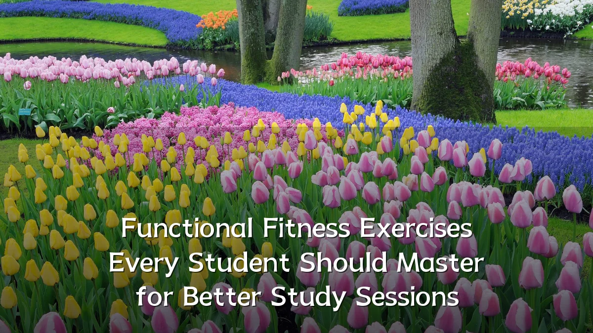 Functional Fitness Exercises Every Student Should Master for Better Study Sessions