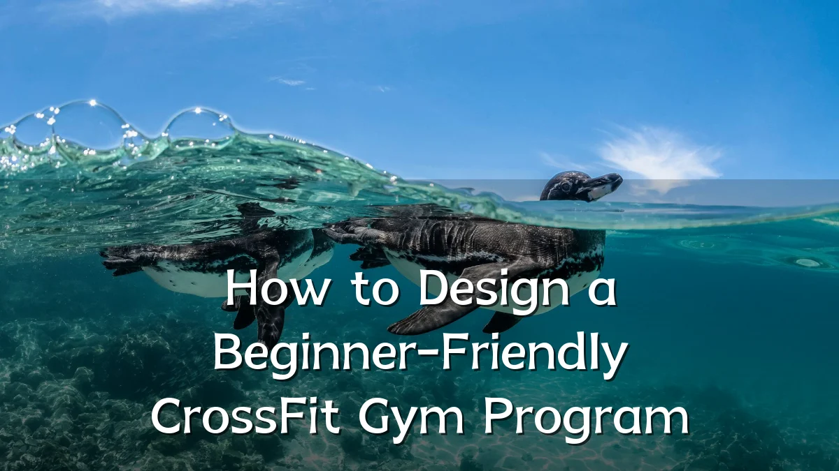 How to Design a Beginner-Friendly CrossFit Gym Program