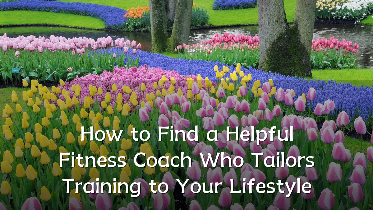 How to Find a Helpful Fitness Coach Who Tailors Training to Your Lifestyle