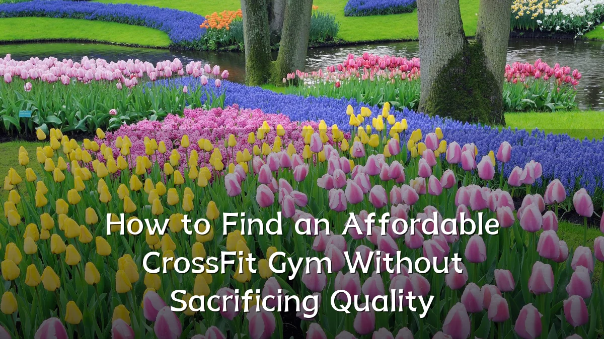 How to Find an Affordable CrossFit Gym Without Sacrificing Quality