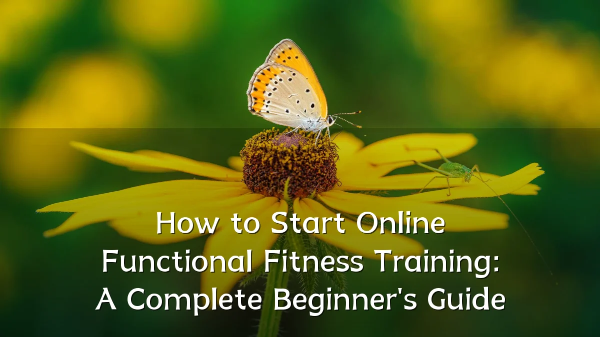 How to Start Online Functional Fitness Training: A Complete Beginner's Guide