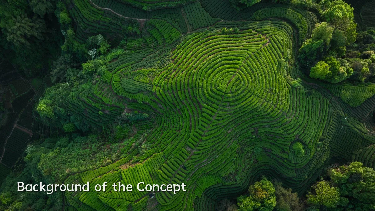 Background of the Concept