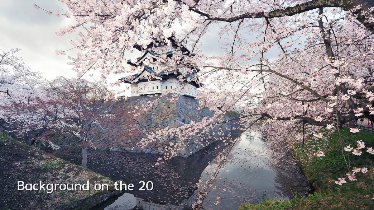 Background on the 20