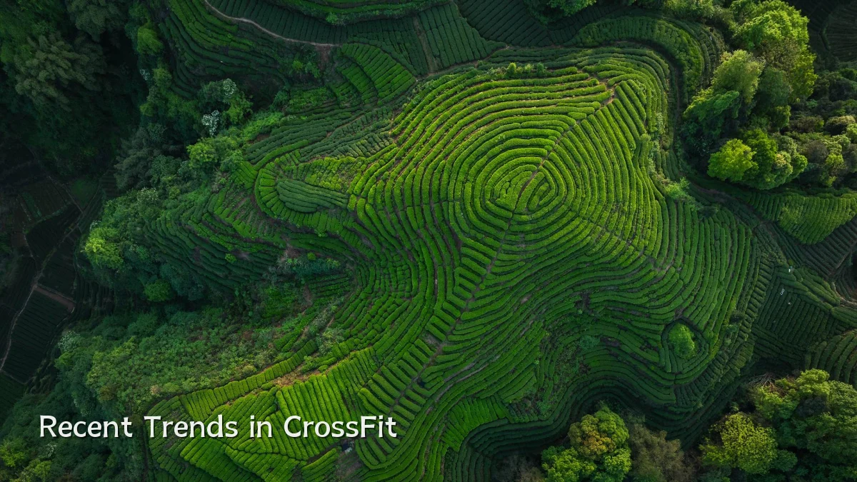 Recent Trends in CrossFit