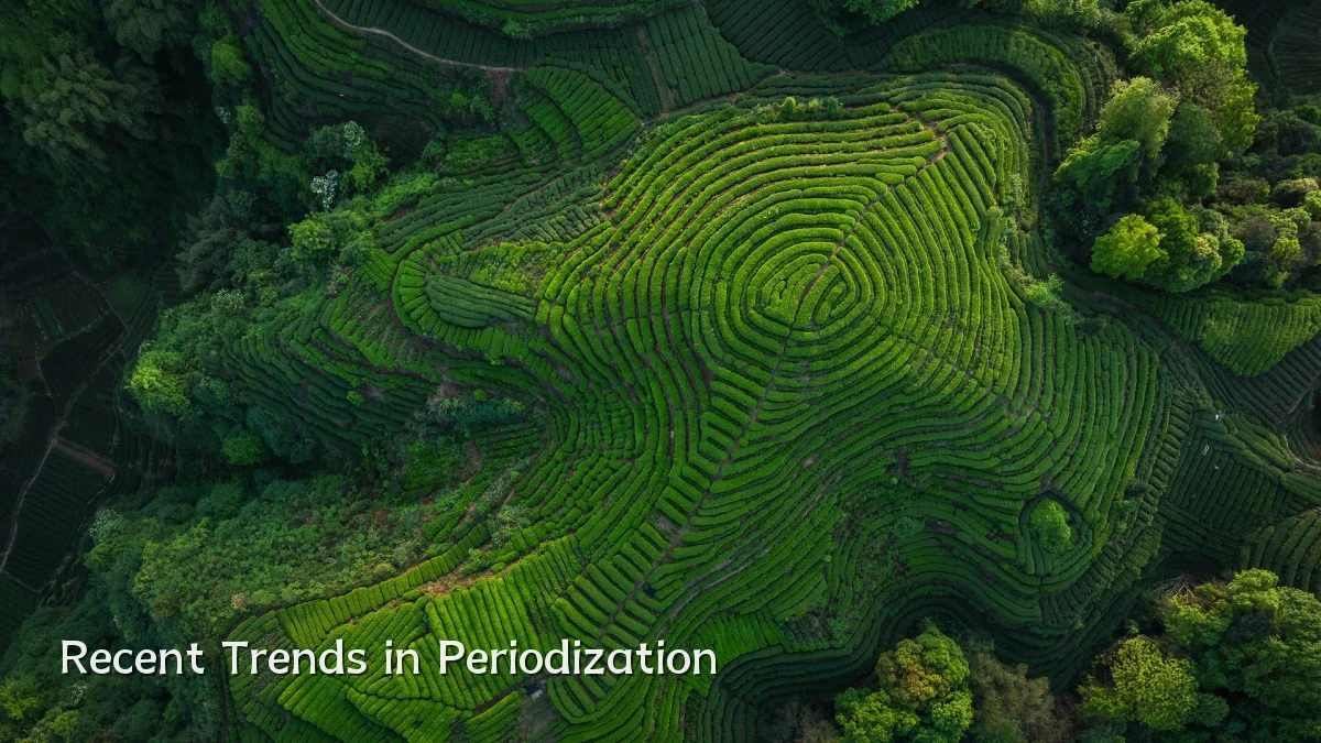 Recent Trends in Periodization