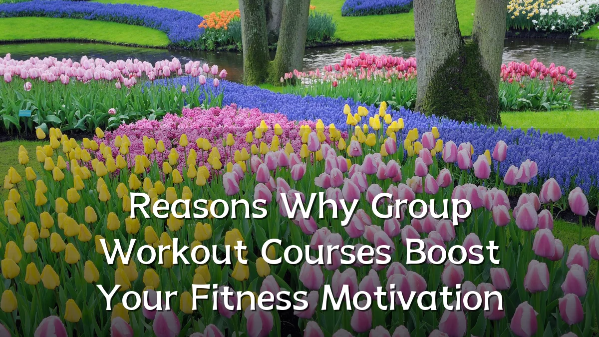 Reasons Why Group Workout Courses Boost Your Fitness Motivation