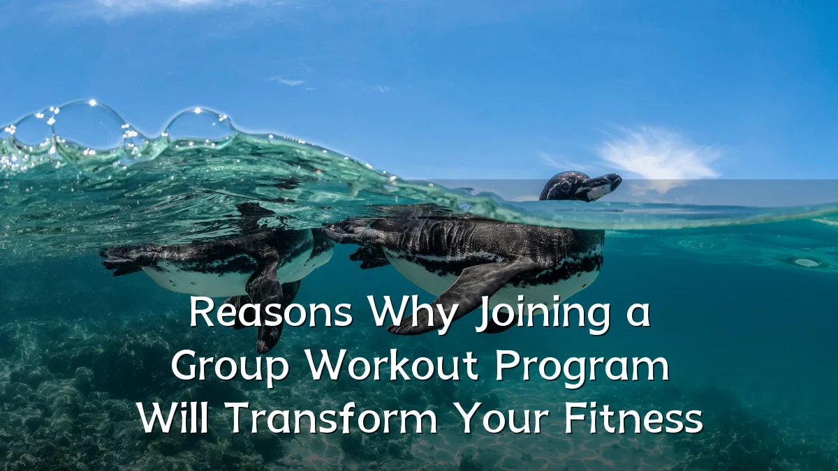 Reasons Why Joining a Group Workout Program Will Transform Your Fitness