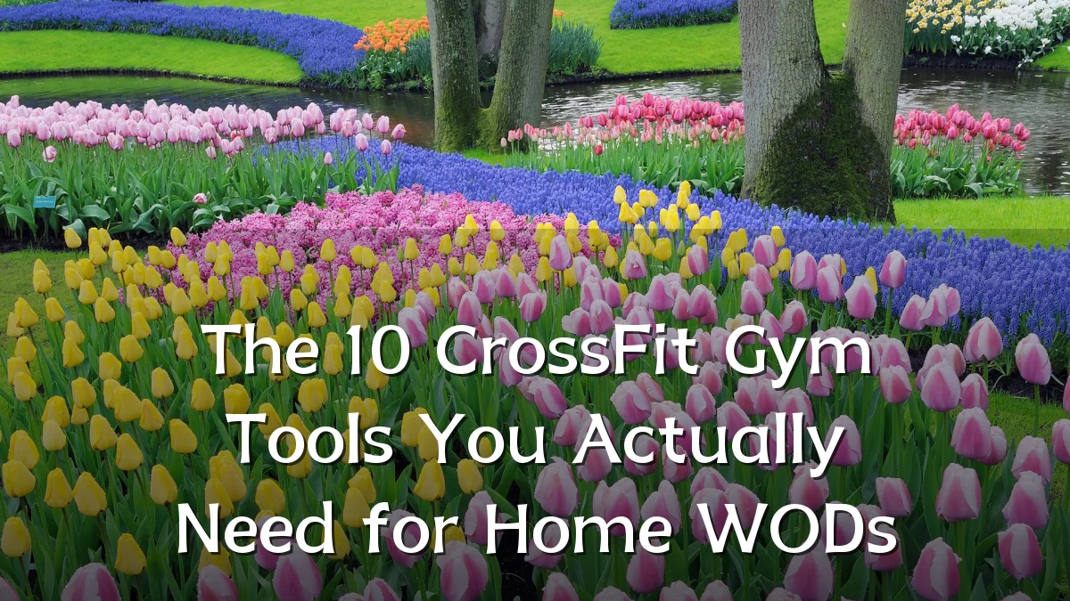 The 10 CrossFit Gym Tools You Actually Need for Home WODs
