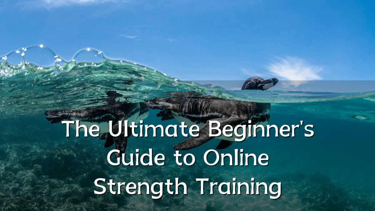 The Ultimate Beginner's Guide to Online Strength Training