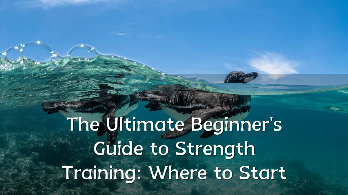 The Ultimate Beginner's Guide to Strength Training: Where to Start
