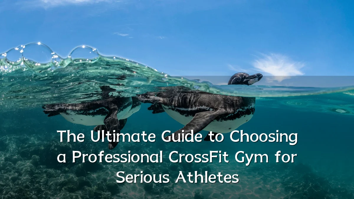 The Ultimate Guide to Choosing a Professional CrossFit Gym for Serious Athletes