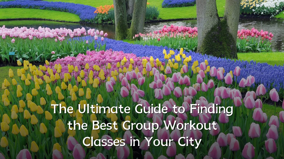 The Ultimate Guide to Finding the Best Group Workout Classes in Your City