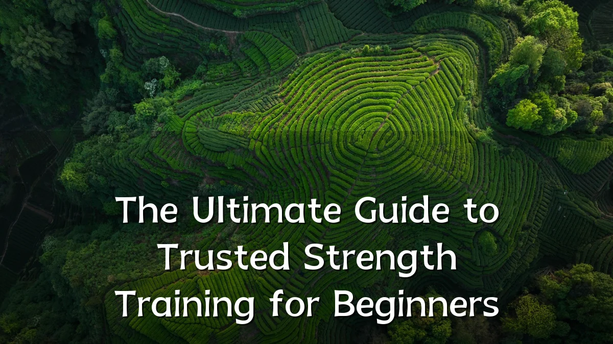 The Ultimate Guide to Trusted Strength Training for Beginners