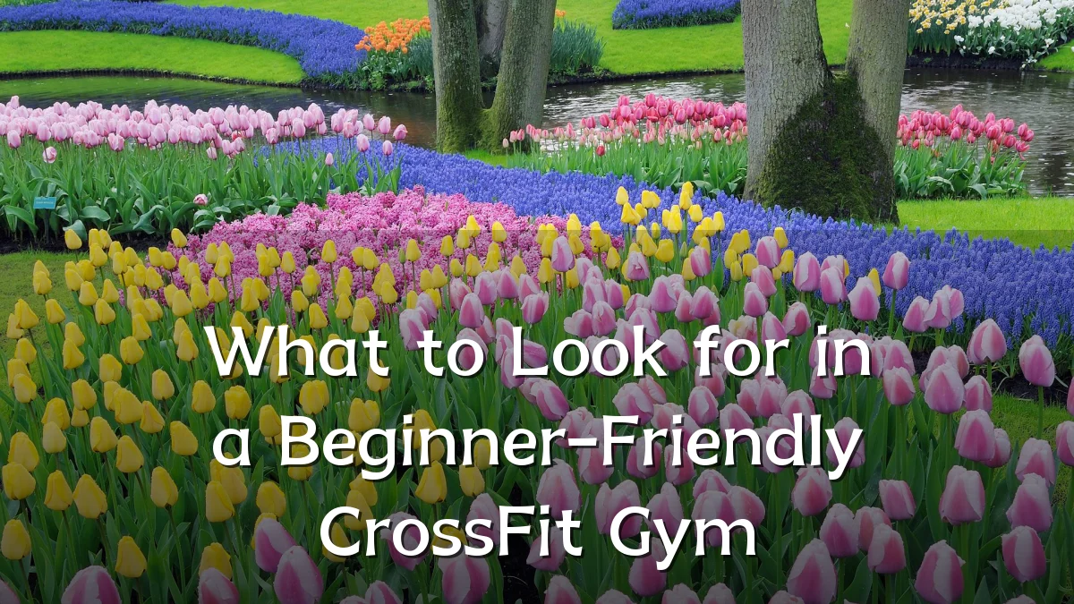 What to Look for in a Beginner-Friendly CrossFit Gym