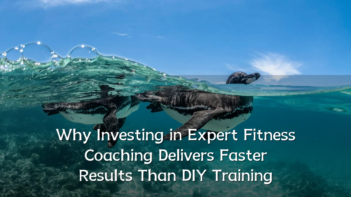 Why Investing in Expert Fitness Coaching Delivers Faster Results Than DIY Training