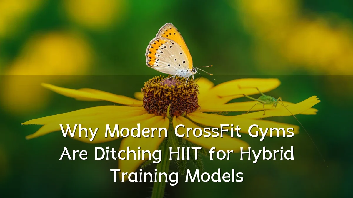 Why Modern CrossFit Gyms Are Ditching HIIT for Hybrid Training Models