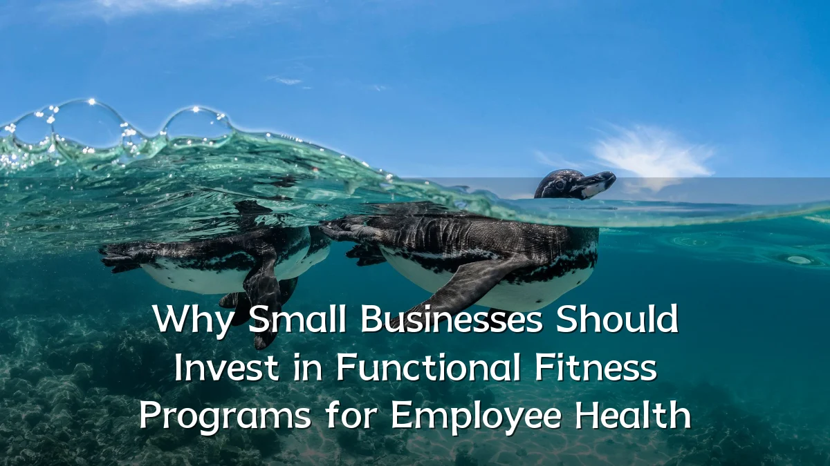 Why Small Businesses Should Invest in Functional Fitness Programs for Employee Health
