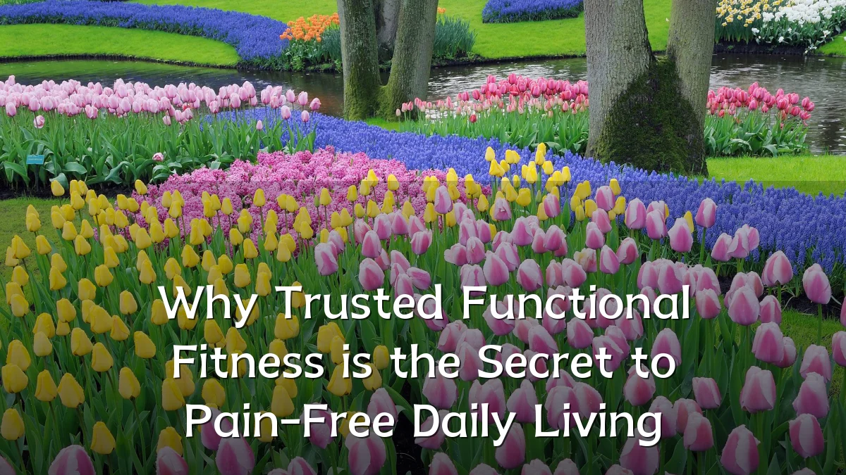 Why Trusted Functional Fitness is the Secret to Pain-Free Daily Living