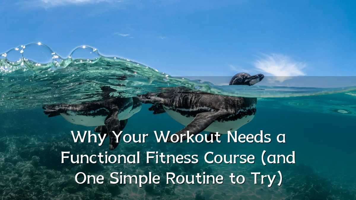 Why Your Workout Needs a Functional Fitness Course (and One Simple Routine to Try)