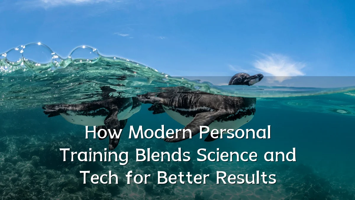 How Modern Personal Training Blends Science and Tech for Better Results