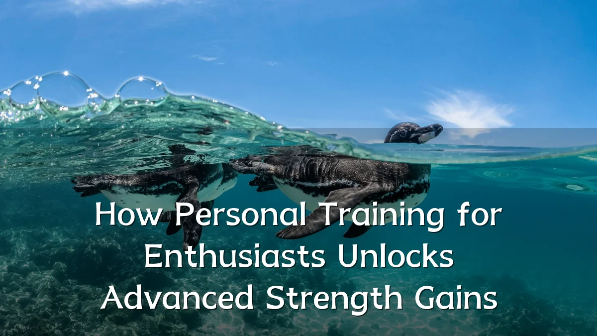 How Personal Training for Enthusiasts Unlocks Advanced Strength Gains