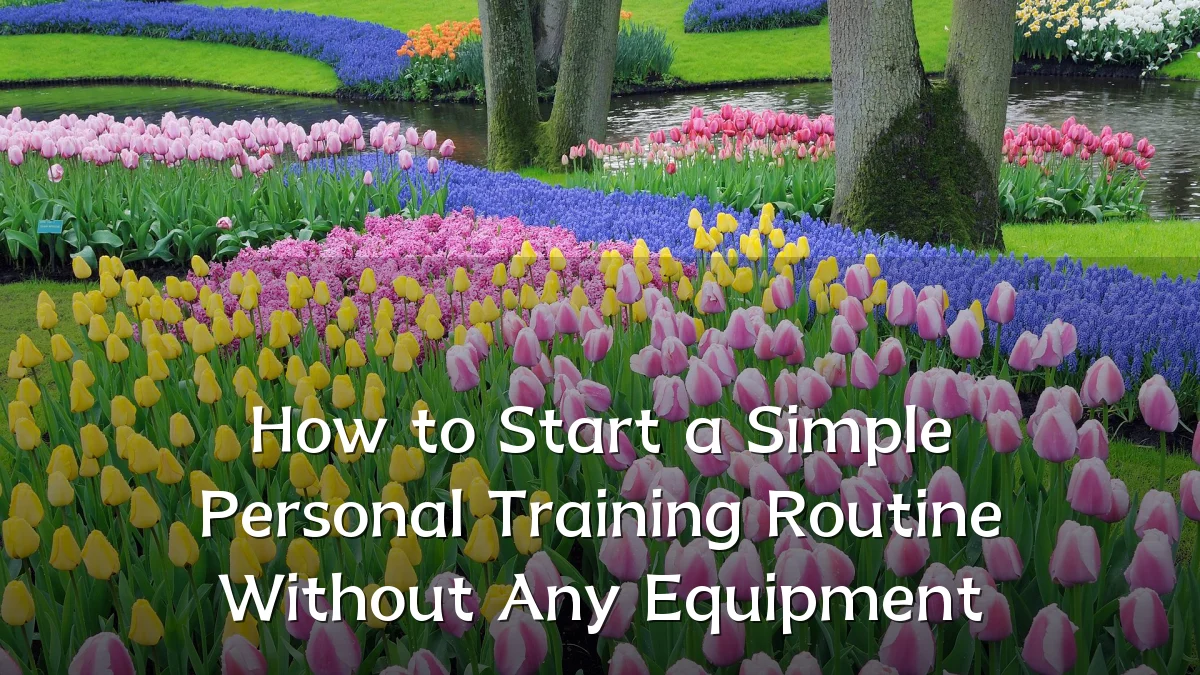 How to Start a Simple Personal Training Routine Without Any Equipment