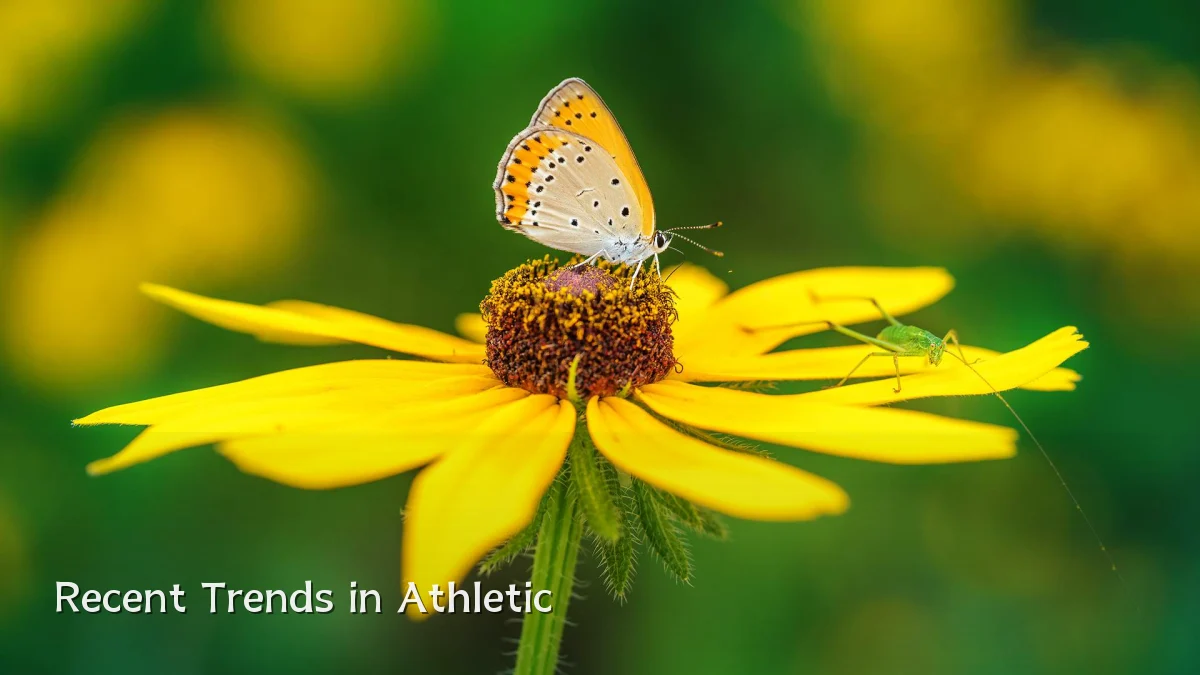 Recent Trends in Athletic