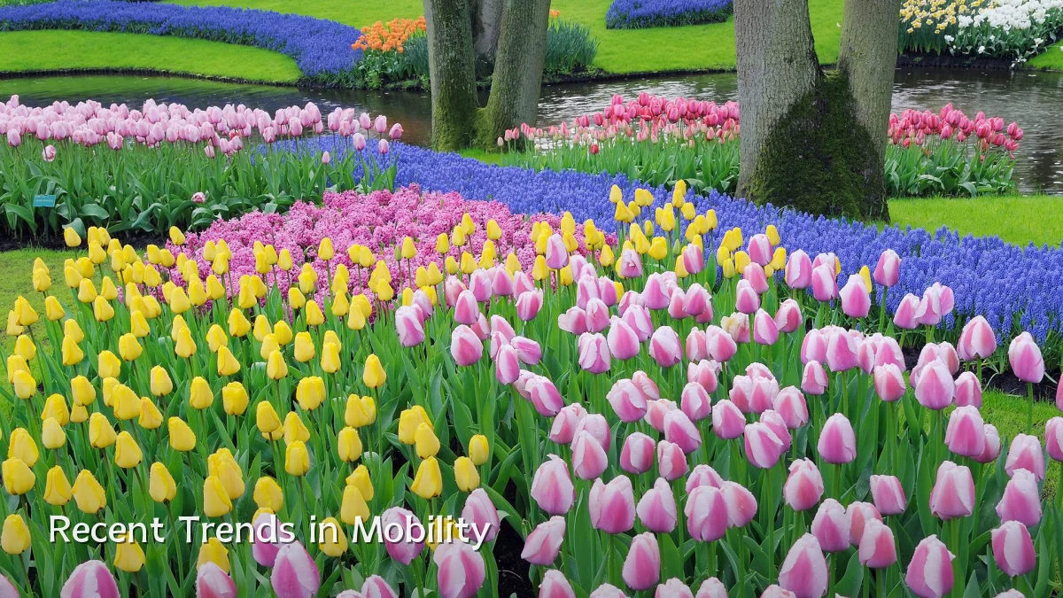 Recent Trends in Mobility