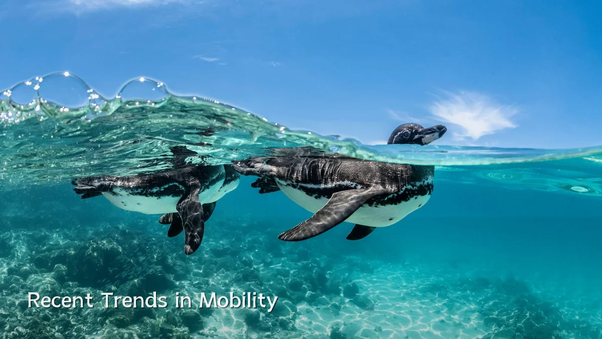 Recent Trends in Mobility