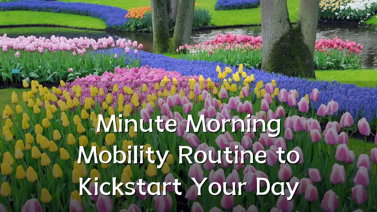 Minute Morning Mobility Routine to Kickstart Your Day