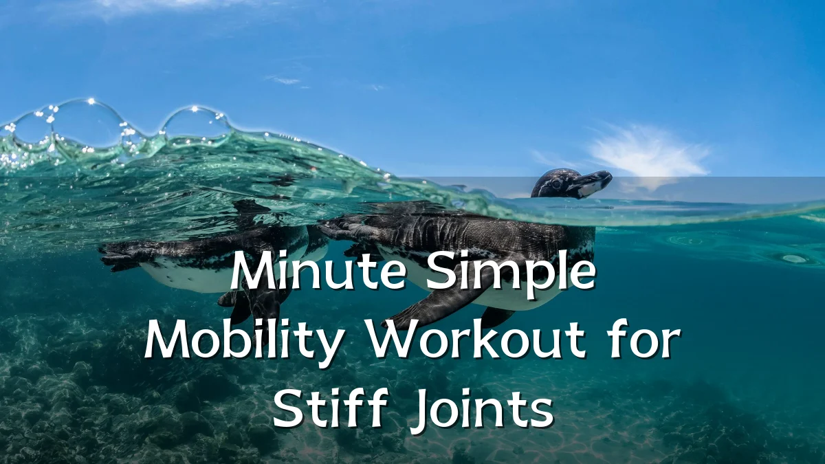 Minute Simple Mobility Workout for Stiff Joints