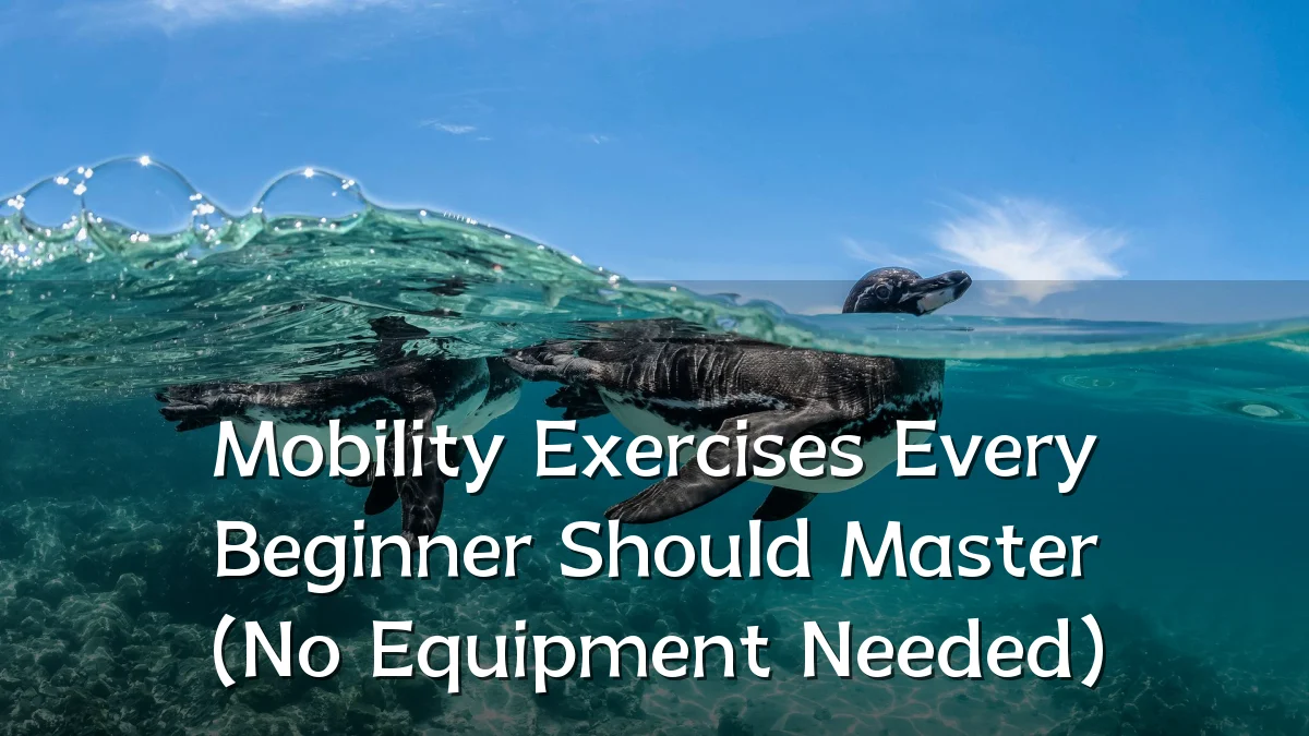Mobility Exercises Every Beginner Should Master (No Equipment Needed)