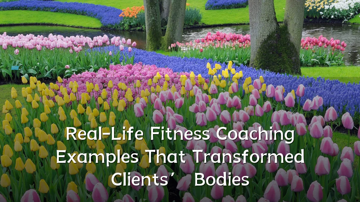 Real-Life Fitness Coaching Examples That Transformed Clients’ Bodies