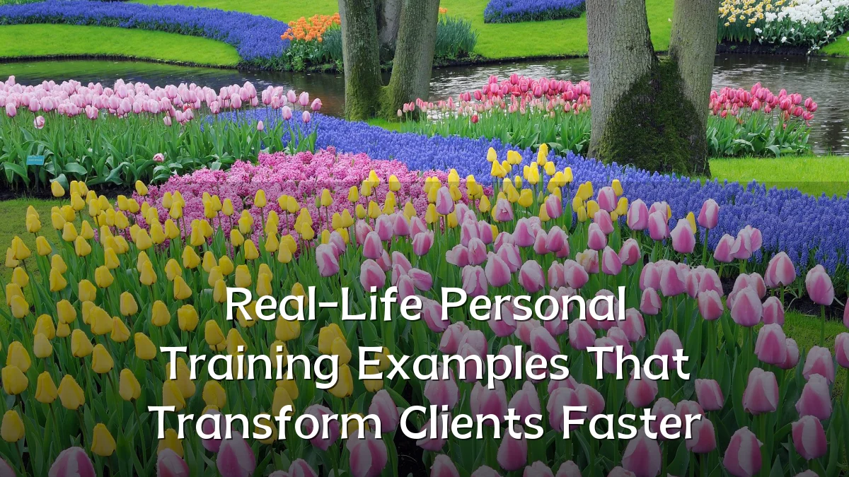Real-Life Personal Training Examples That Transform Clients Faster