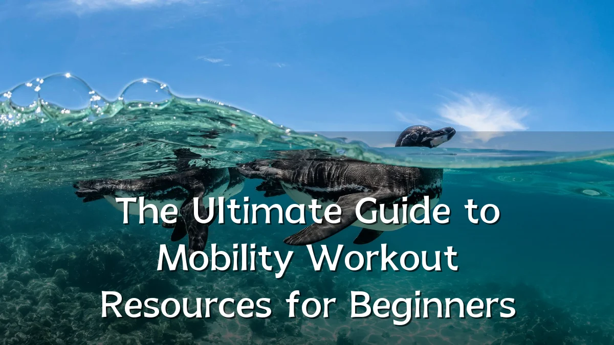 The Ultimate Guide to Mobility Workout Resources for Beginners