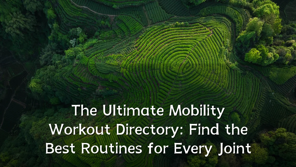 The Ultimate Mobility Workout Directory: Find the Best Routines for Every Joint