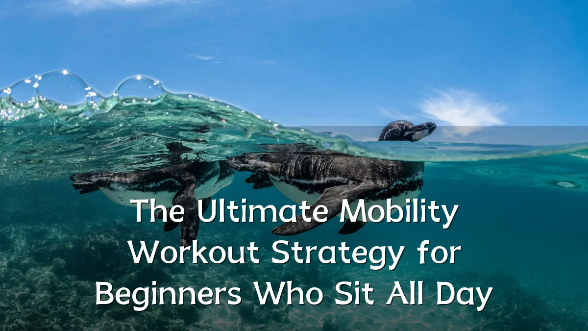 The Ultimate Mobility Workout Strategy for Beginners Who Sit All Day