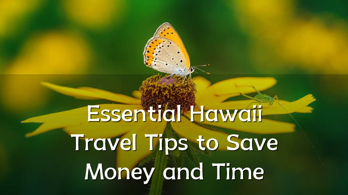 Essential Hawaii Travel Tips to Save Money and Time