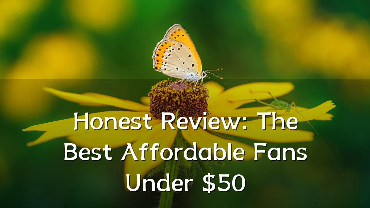 Honest Review: The Best Affordable Fans Under $50