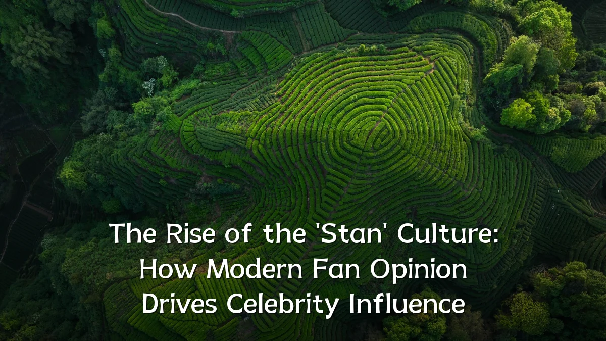 The Rise of the 'Stan' Culture: How Modern Fan Opinion Drives Celebrity Influence