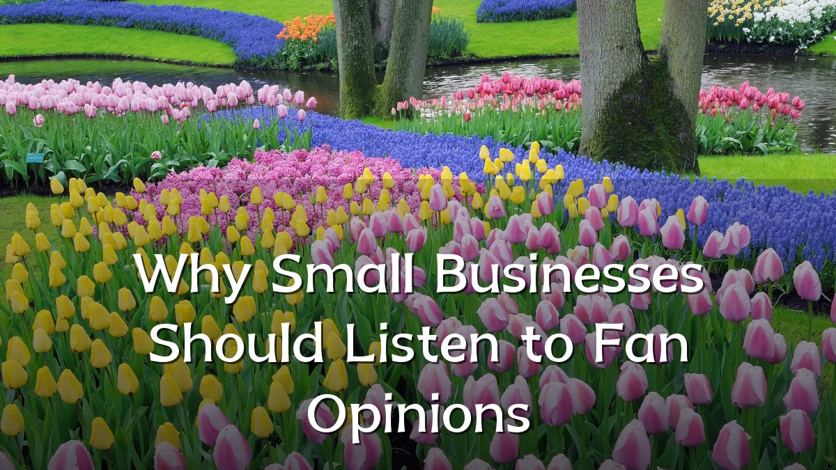 Why Small Businesses Should Listen to Fan Opinions