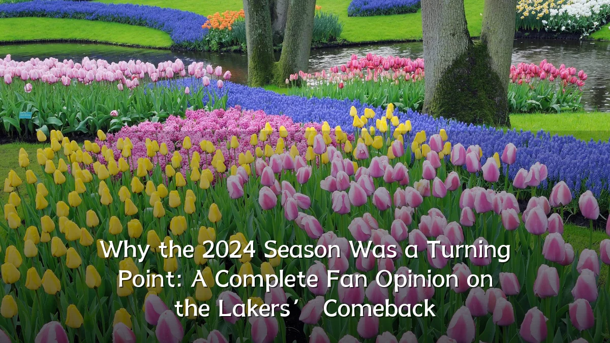 Why the 2024 Season Was a Turning Point: A Complete Fan Opinion on the Lakers’ Comeback